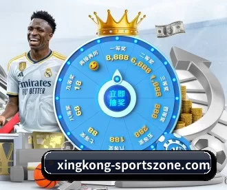 星空世界杯入口 APP 深度功能