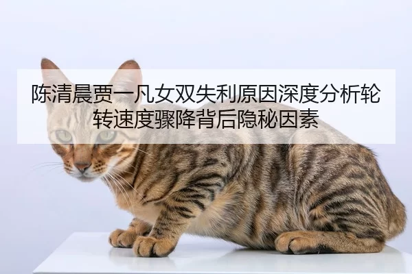 陈清晨贾一凡女双失利原因深度分析轮转速度骤降背后隐秘因素
