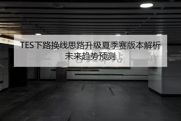TES下路换线思路升级夏季赛版本解析未来趋势预测