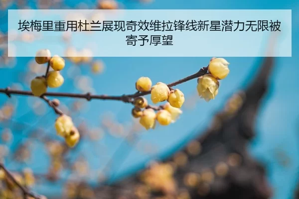 埃梅里重用杜兰展现奇效维拉锋线新星潜力无限被寄予厚望