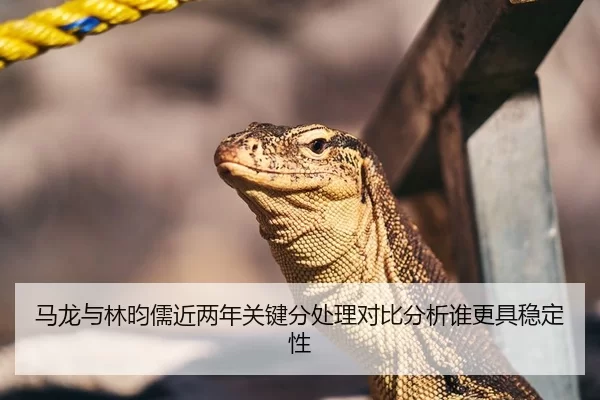 马龙与林昀儒近两年关键分处理对比分析谁更具稳定性