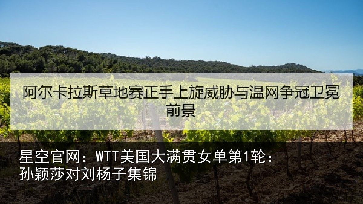 星空官网:WTT美国相关情况颖莎对刘杨子集锦
