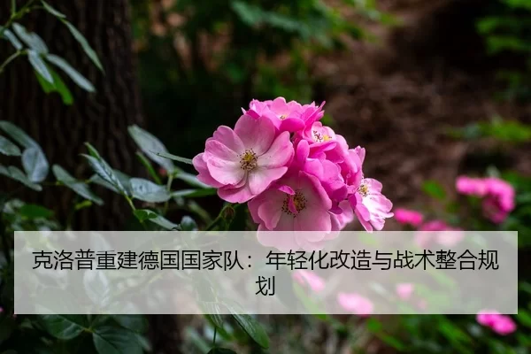 ke-luo-pu-chong-jian-de-guo-guo-jia-dui-nian-qing-hua-gai-zao-yu-zhan-shu-zheng-he-gui-hua-3-906.jpg