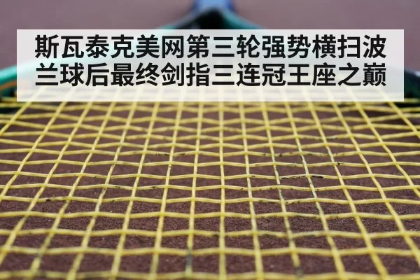 tennis racket closeup